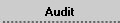 Audit