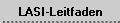 LASI-Leitfaden