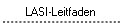 LASI-Leitfaden