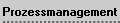 Prozessmanagement