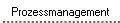 Prozessmanagement